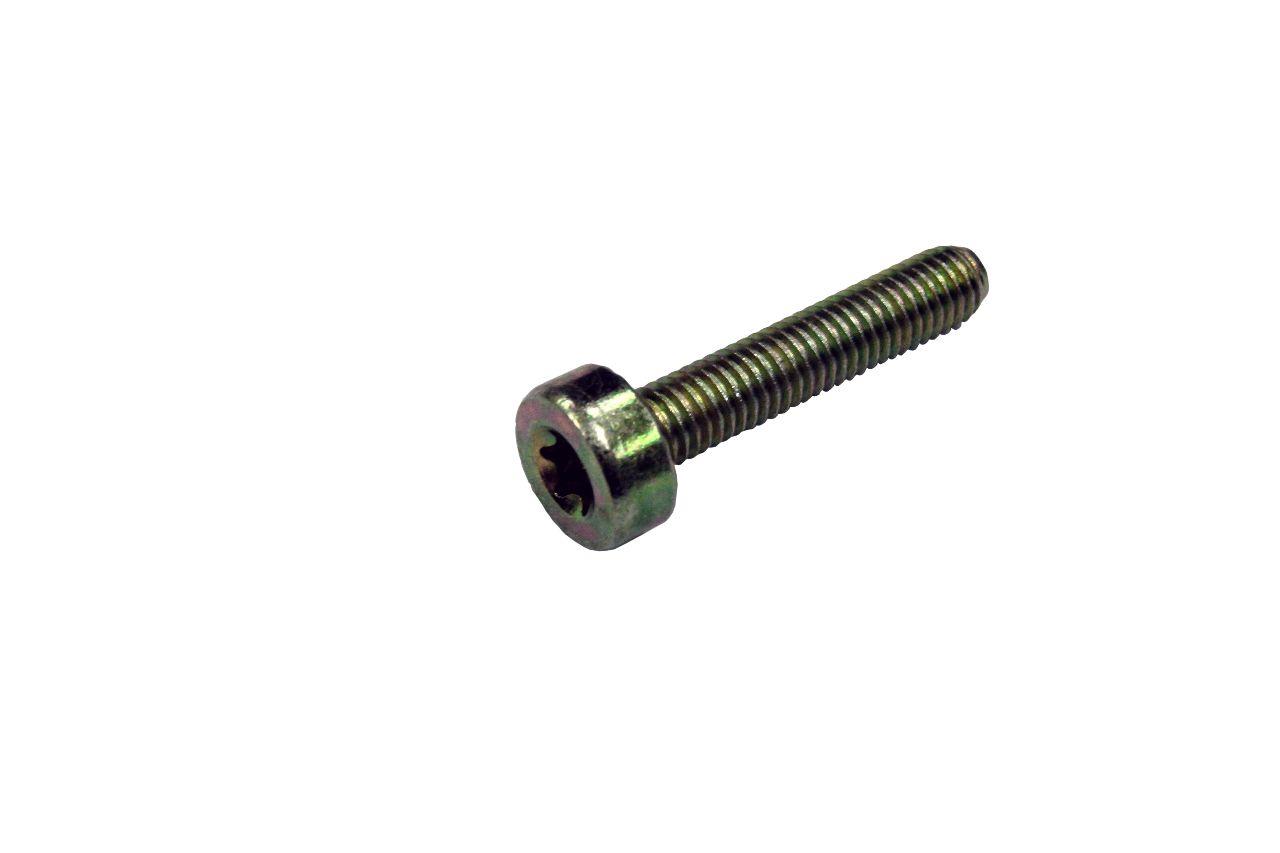 TORNILLO ADAPTABLE STIHL 009 010 011 012 034 036 -Torx M5x25