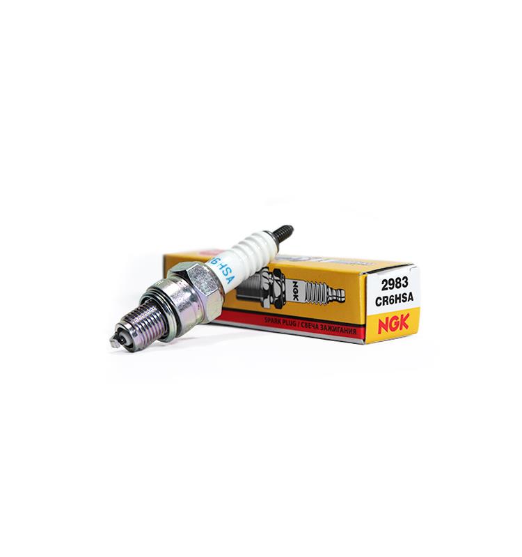 BUJIA NGK CR6HSA
