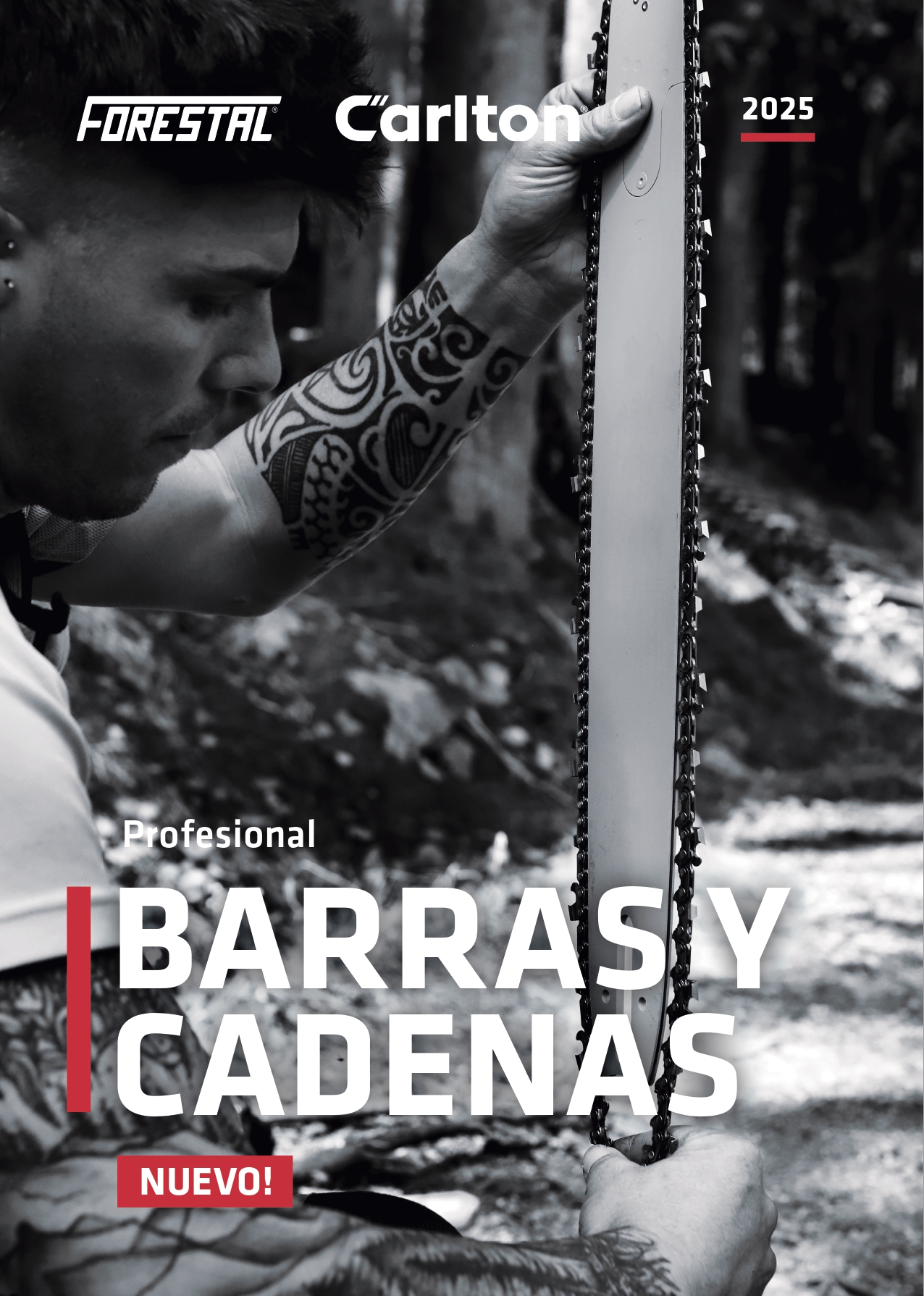 Barras y cadenas 2025