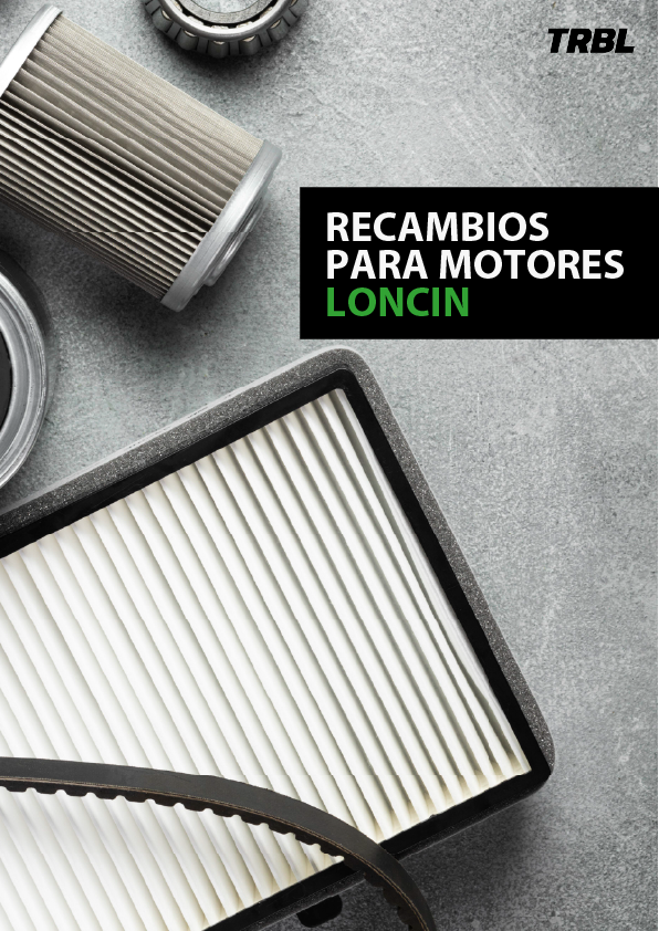 Recambios para motores Loncin